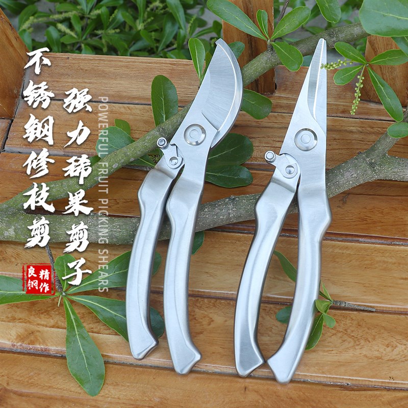 sk5全钢修枝h剪不锈钢剪枝修剪树枝果树盆景花卉园艺摘果专用剪刀图片