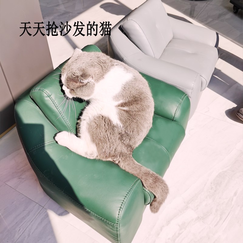 超纤皮迷你轻柔小宝宝沙发 小尺寸阳台J飘窗宠物沙发 销多色可选