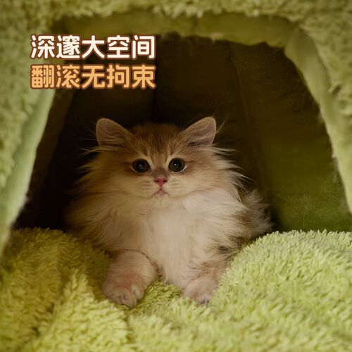 猫窝冬季保暖封闭猫咪安全感窝猫床猫垫子猫躲避屋猫房超级大猫窝