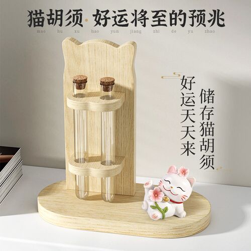 猫咪胡须收纳架宠物毛发收藏纪念瓶狗毛猫须收集桌面好运玩偶摆件