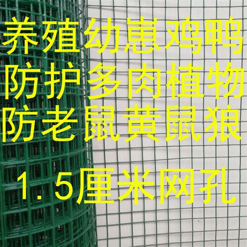 小孔铁丝网围栏网荷兰网包塑电焊网户外养殖网隔离网防护鸡网栅栏