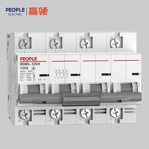 人民电器小型高分断断路器RDB5-125H大电流空气开关 原RDX2 正品