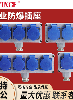 户外防爆插座200-250v双联10/16A三孔工业电源铸铝接线板插座盒