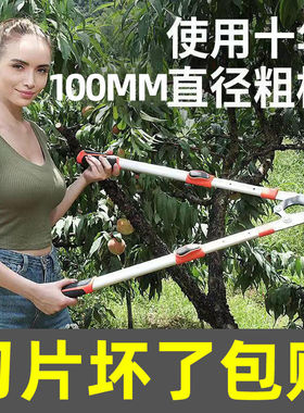 德国进口高枝剪树枝专用剪子修枝剪园艺果树修剪刀拉树枝修剪神器