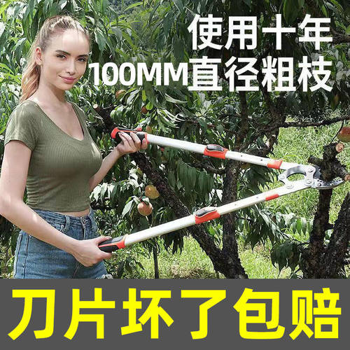 德国进口高枝剪树枝专用剪子修枝剪园艺果树修剪刀拉树枝修剪神器