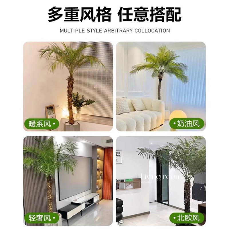 针葵树盆栽大型绿植物办公室内客厅椰子棕榈好养网红轻奢落地盆景