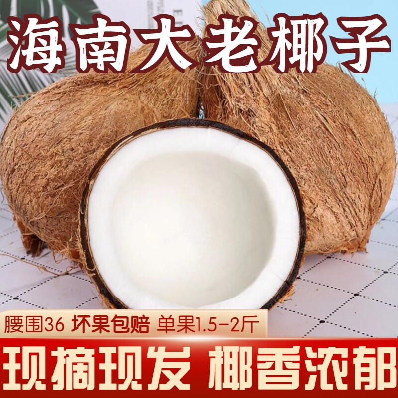 海南文昌单个1.5-2斤毛椰子老椰子新鲜水果椰肉椰汁鸡煲汤清补凉