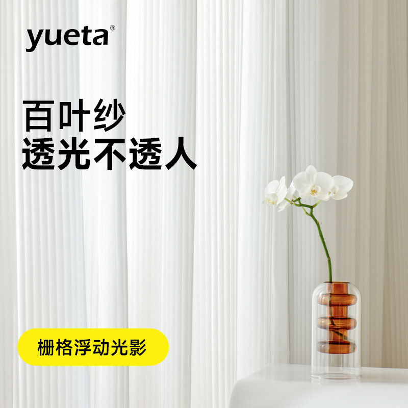 【百叶纱】2024新款p竖百叶纱窗帘透光不透人白色客厅镜面窗纱白