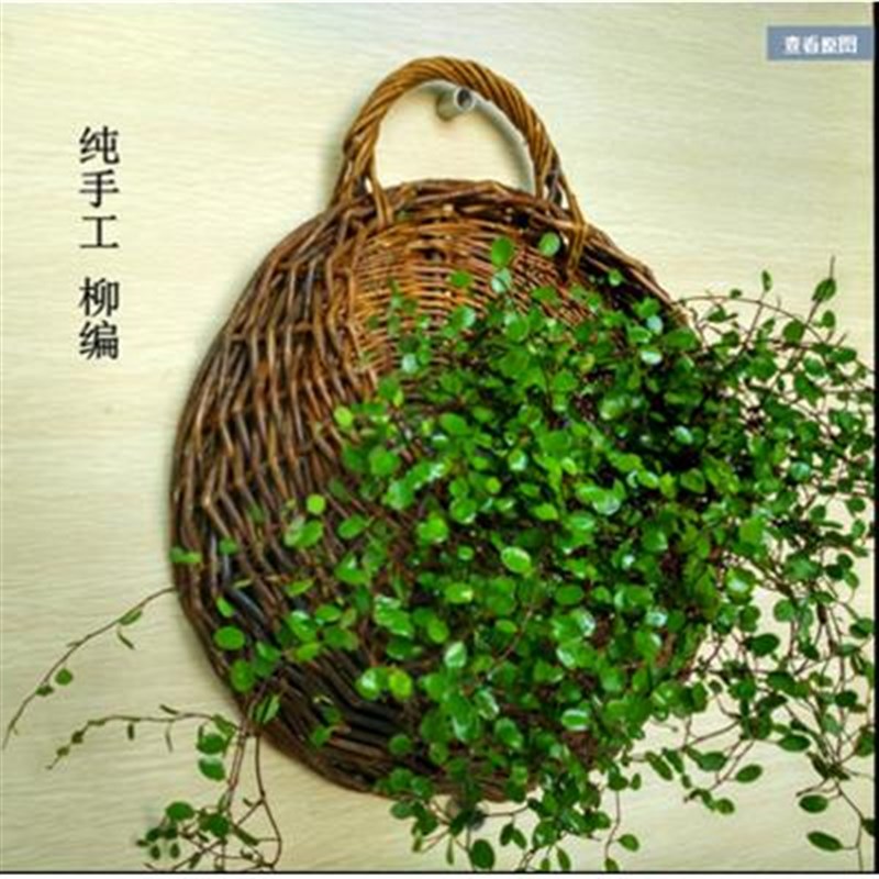 挂篮壁挂花盆藤编花篮吊篮编织吊兰E墙上悬挂篮子墙壁挂壁壁挂式
