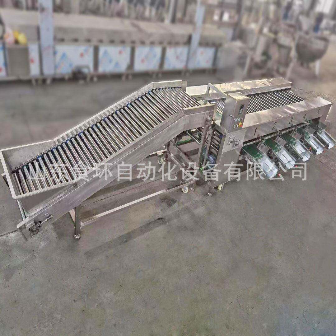 分级机设备圣女果红枣分级机果蔬分级分拣机全自动核桃检重机