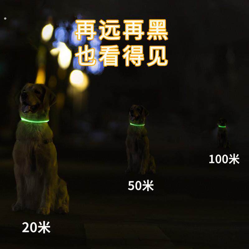 狗狗发光项圈夜间遛狗夜光夜行灯大小型犬防走失充电宠物脖圈颈圈