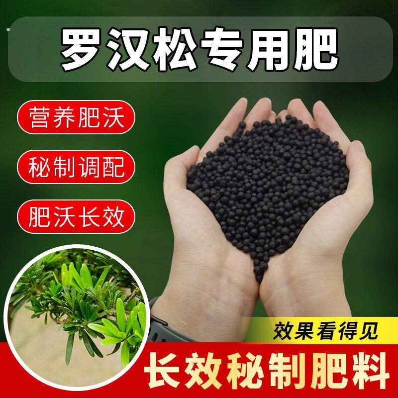 罗汉松专用肥料盆栽喜酸植物罗汉松肥料防黄落枯叶烂黑根腐颗粒肥