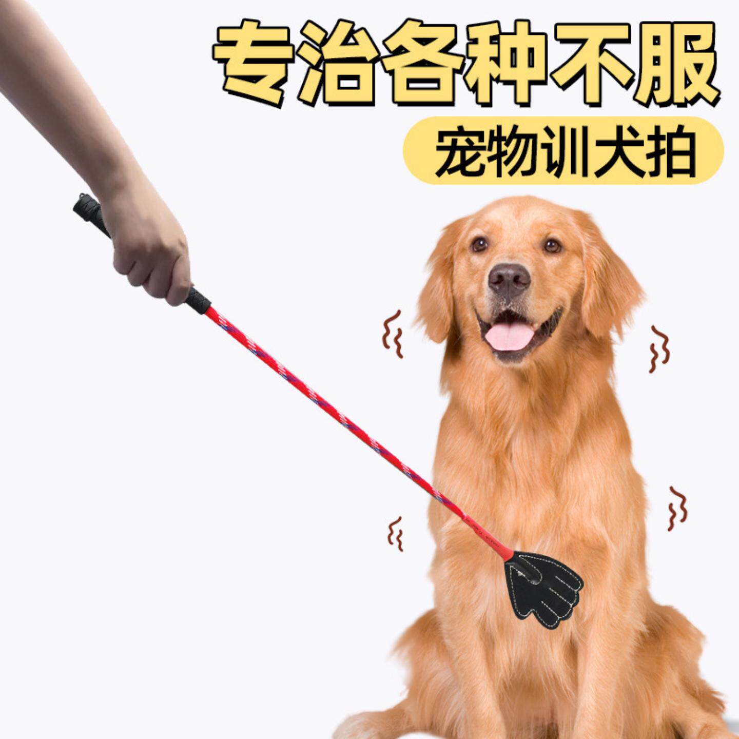 打狗棍长杆训狗拍宠物柔软轻松