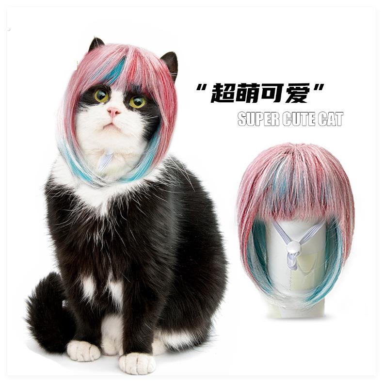 新款宠物假发猫狗通用炫彩浏海长直发蓝粉万圣节可爱猫咪搞怪造型