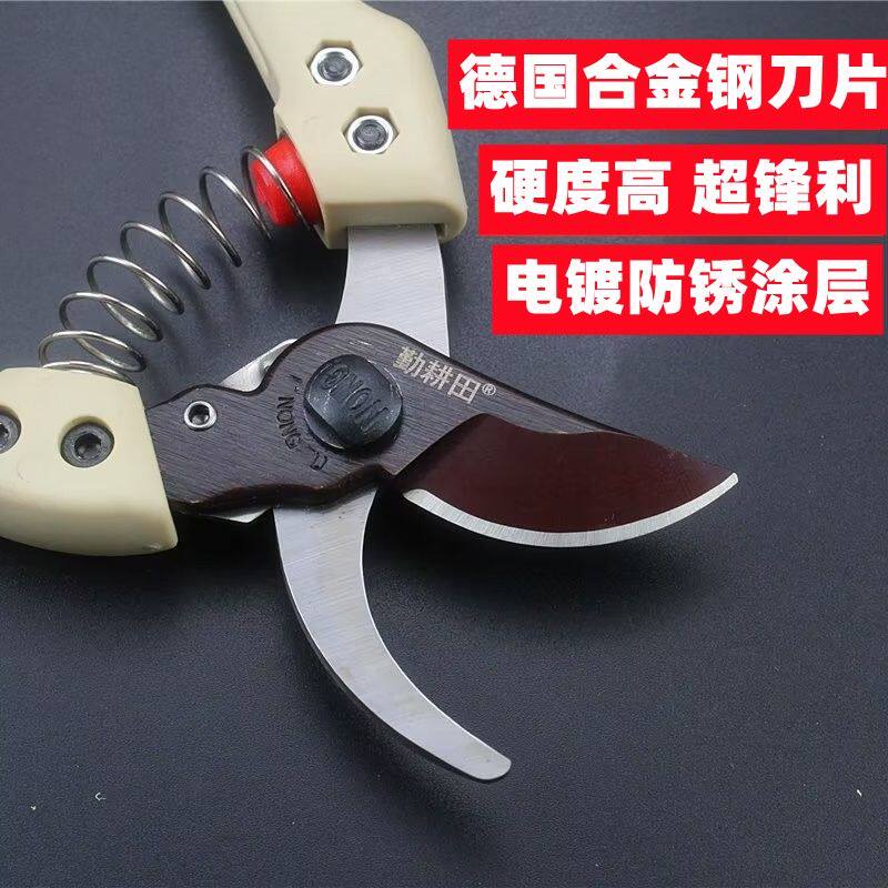 不锈钢130S修枝剪剪树枝专用剪刀园林果树剪家用花艺园艺剪枝剪子图片