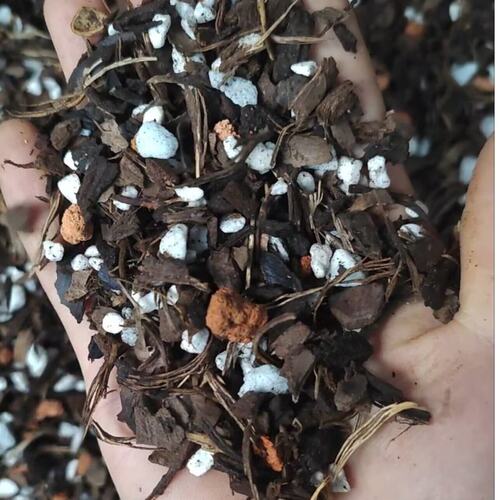 七合一中颗粒加大包36升装兰花植料（送2升细植料）适用兰花植料