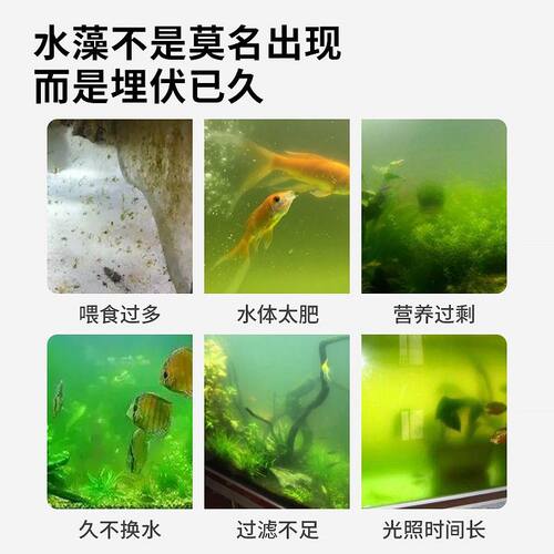 百因美N1除藻剂鱼缸祛绿藻水族箱净水净化水质澄清调理剂超萌好物