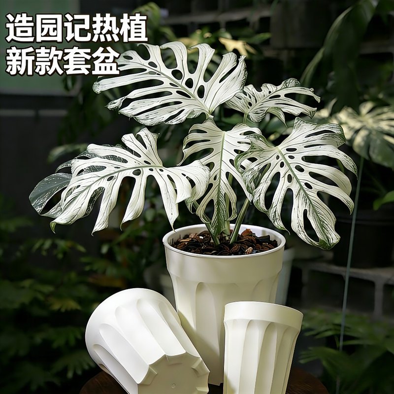 龟背竹套盆热植专用花盆花烛爆根懒人控根花盆养花家用外盆大号图片