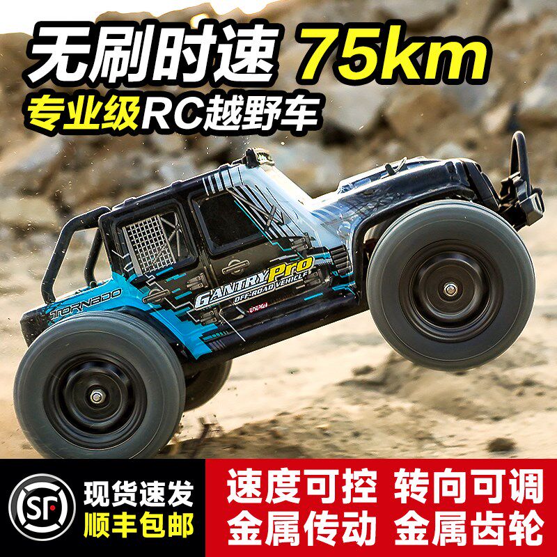 无刷专业RCg遥控车玩具成人四驱高速漂移越野竞速大脚赛车男孩汽