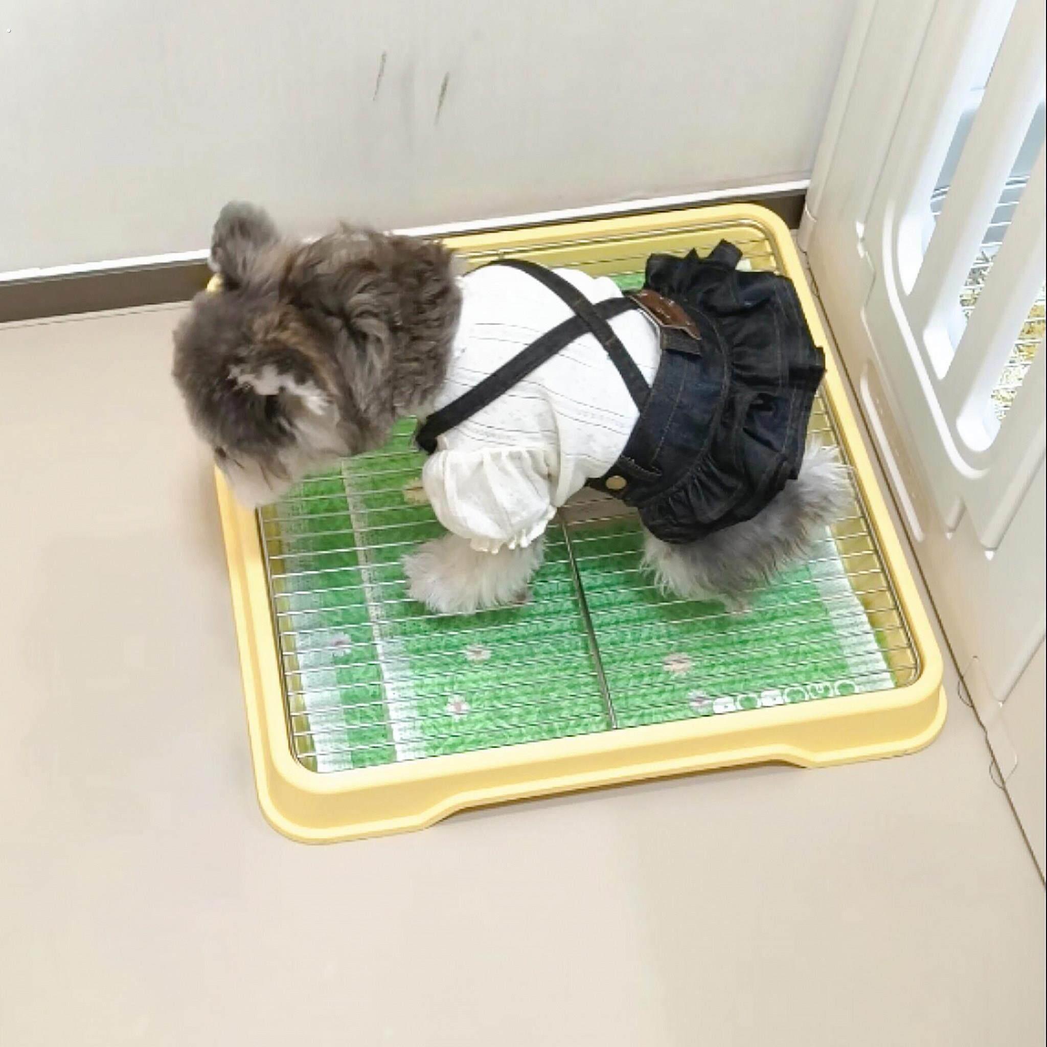 狗厕所小中大型犬狗尿盆分体不锈钢网防踩屎便盆定点排便训练神器
