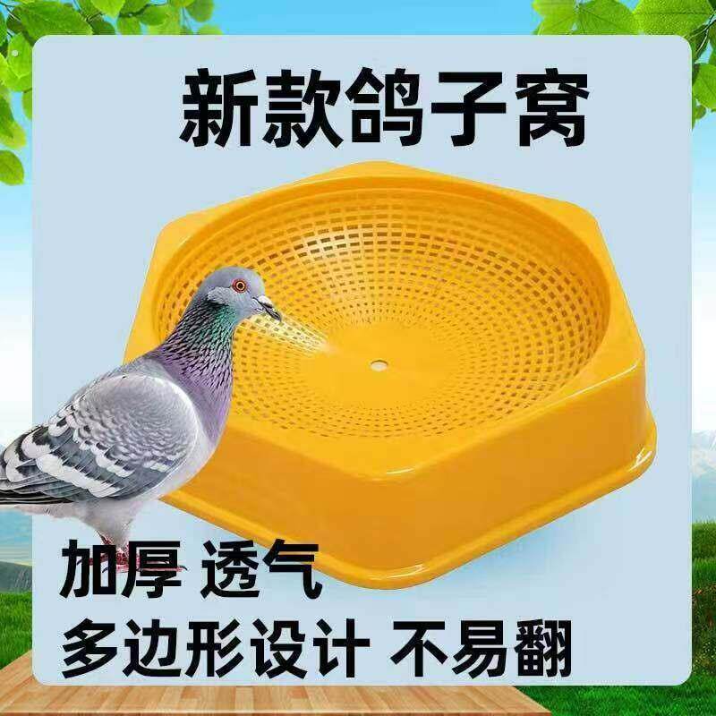 新款鸽子塑料窝鸽用品侧翻用具鸽蛋窝巢鸟窝信鸽鹦鹉信赛巢盆鸽具