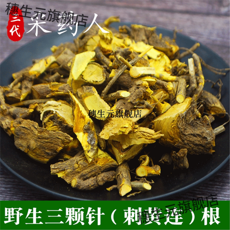 贵州纯野生黄连三颗针刺