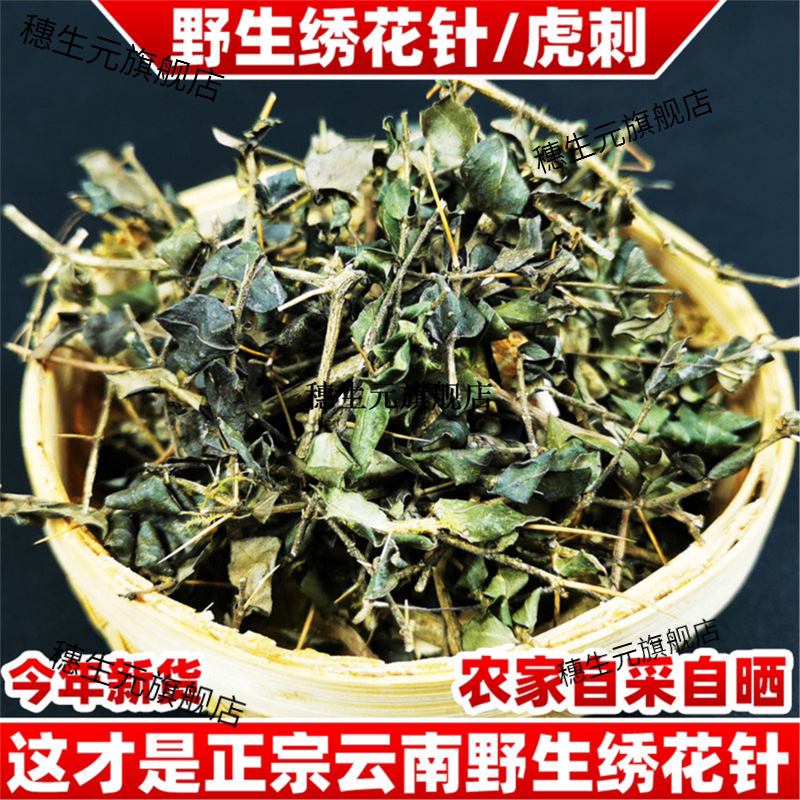 云南野生绣花针虎刺材伏