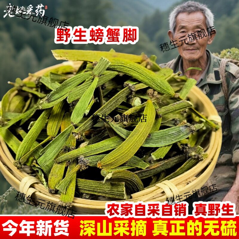 云南野生螃蟹脚材枫树寄