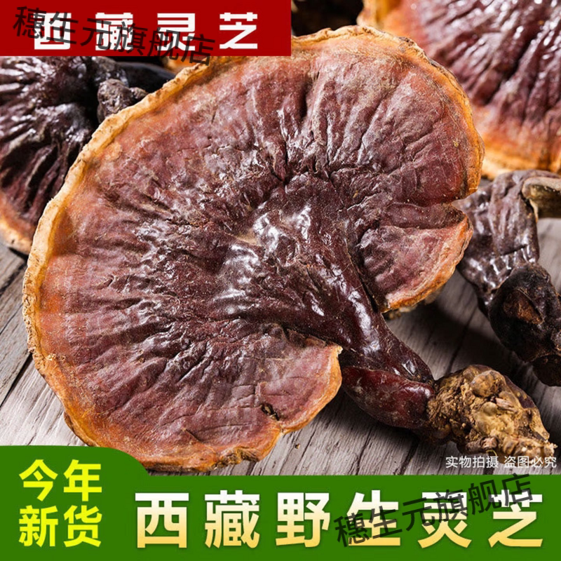 西藏野生金边赤灵芝整株泡茶泡酒