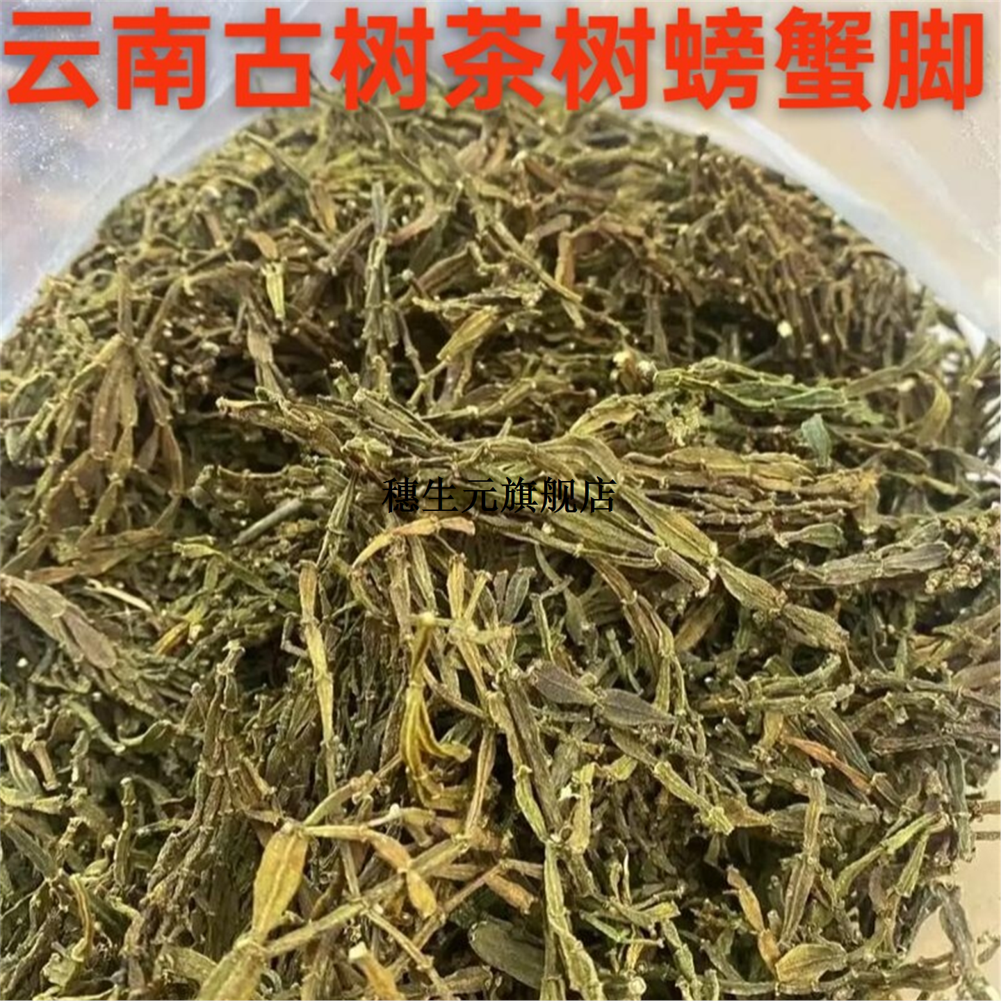 景迈山螃蟹脚普洱古树晒干无硫