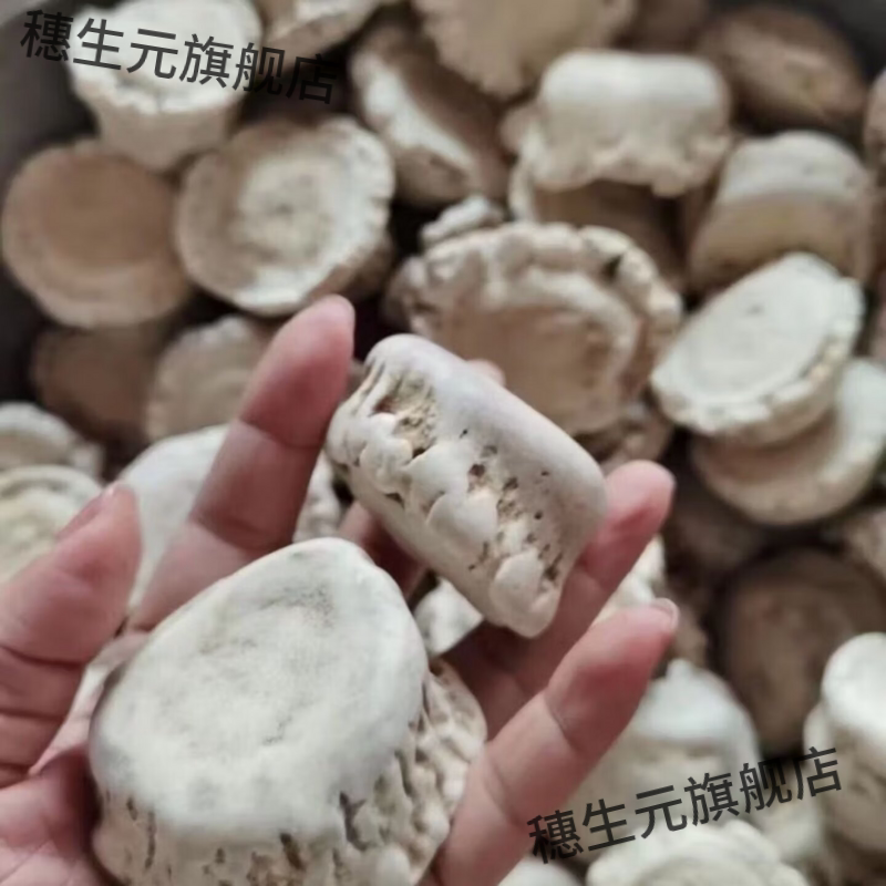 鹿角帽托盘梅花整个不打粉