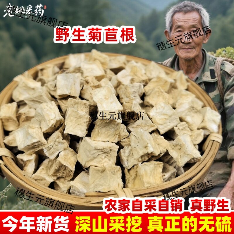 菊苣根材新货散装干长白山