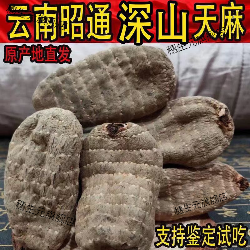 正宗昭通小草坝乌天麻纯干货切片