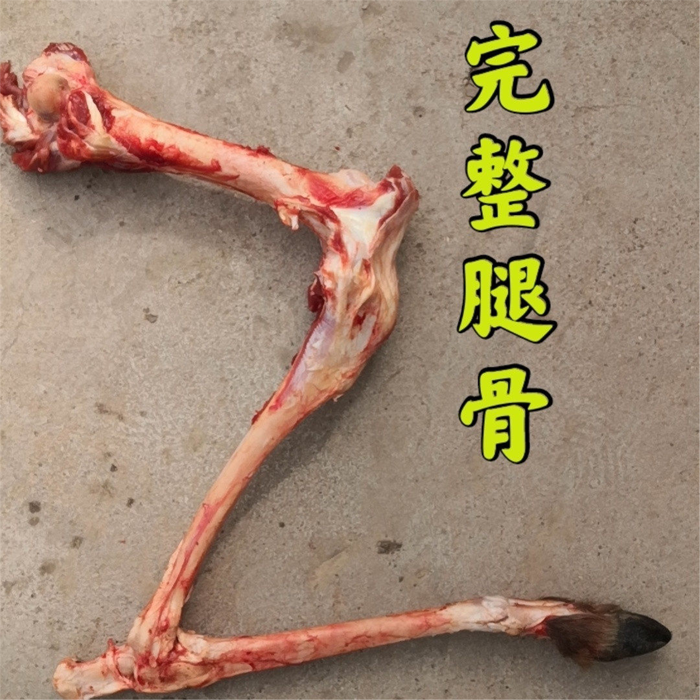 梅花鹿腿骨大棒整根加酒保