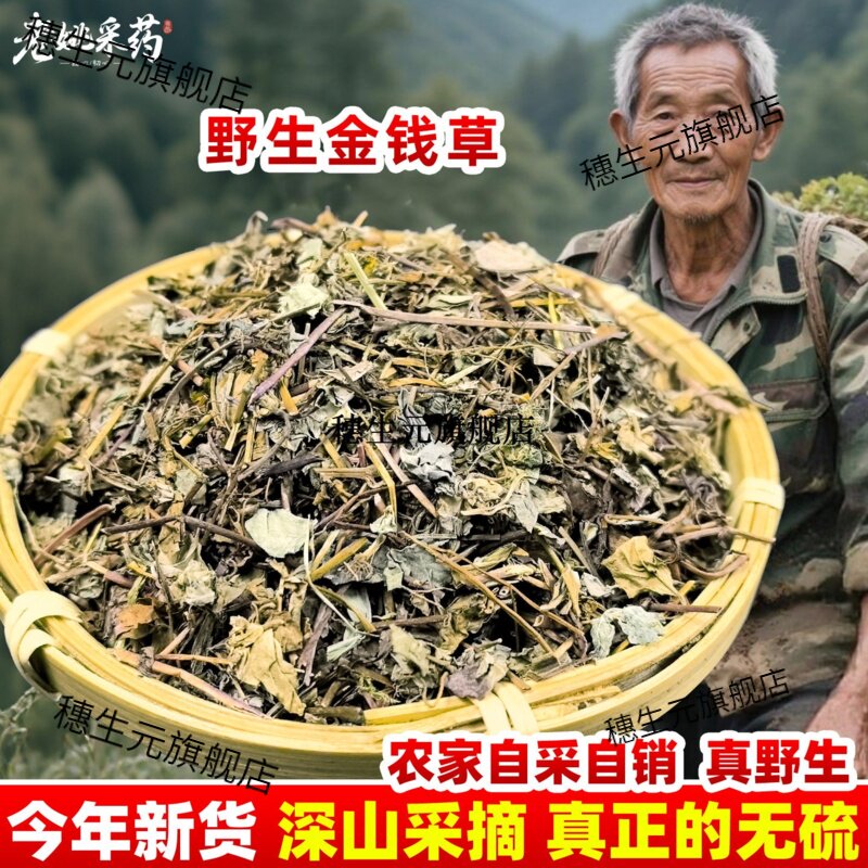 云南野生金钱草材小马蹄