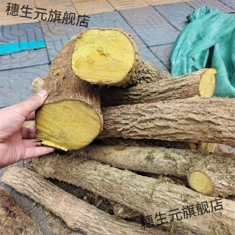 贵州深山野生十大功劳中草