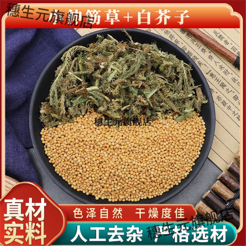 小伸筋草白芥子原材料天然