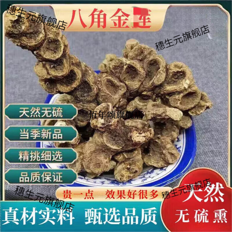 八角金连野生新鲜中药材500g