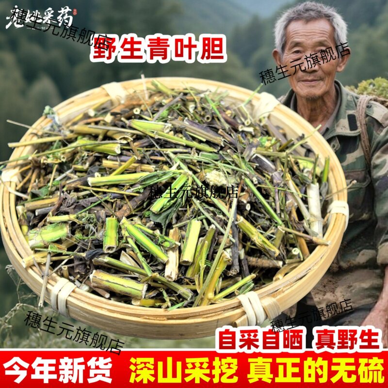 云南野生材青叶胆丹走药
