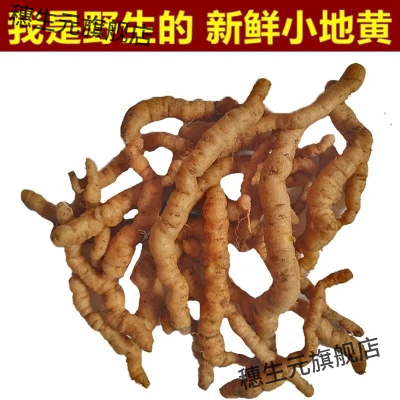 正宗野生鲜生地黄河南现挖中药材