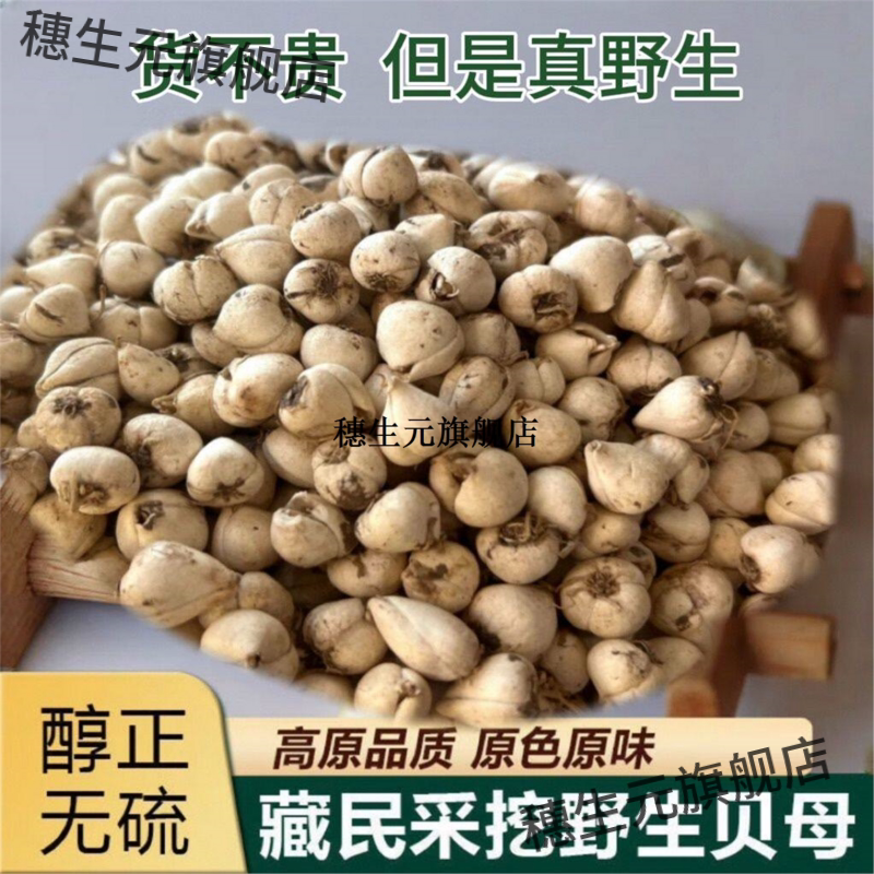 野生藏贝母无硫新货干货泡水煲汤