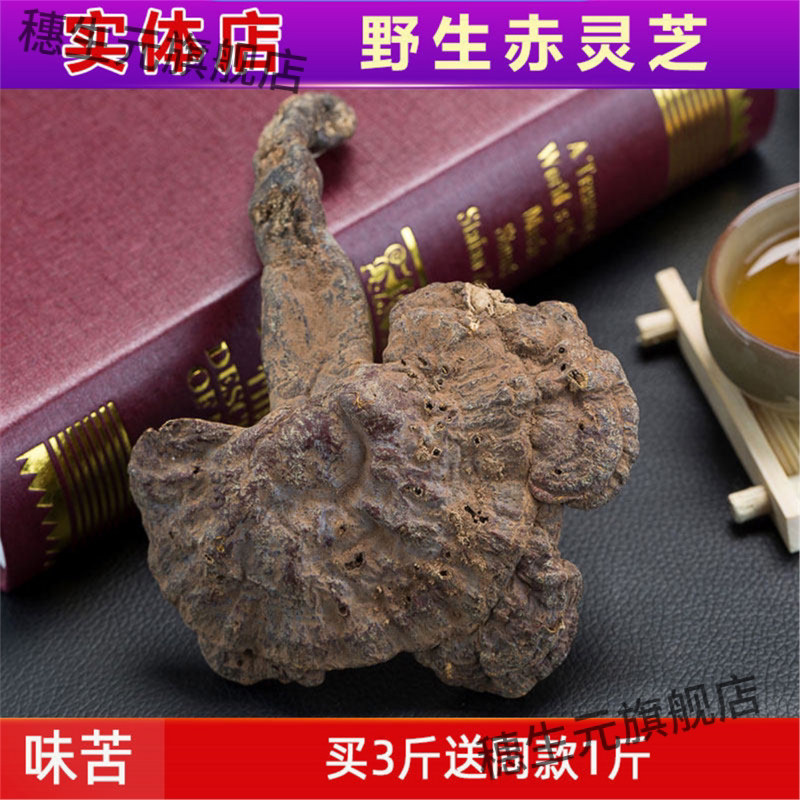 野生灵芝深山纯赤天然草