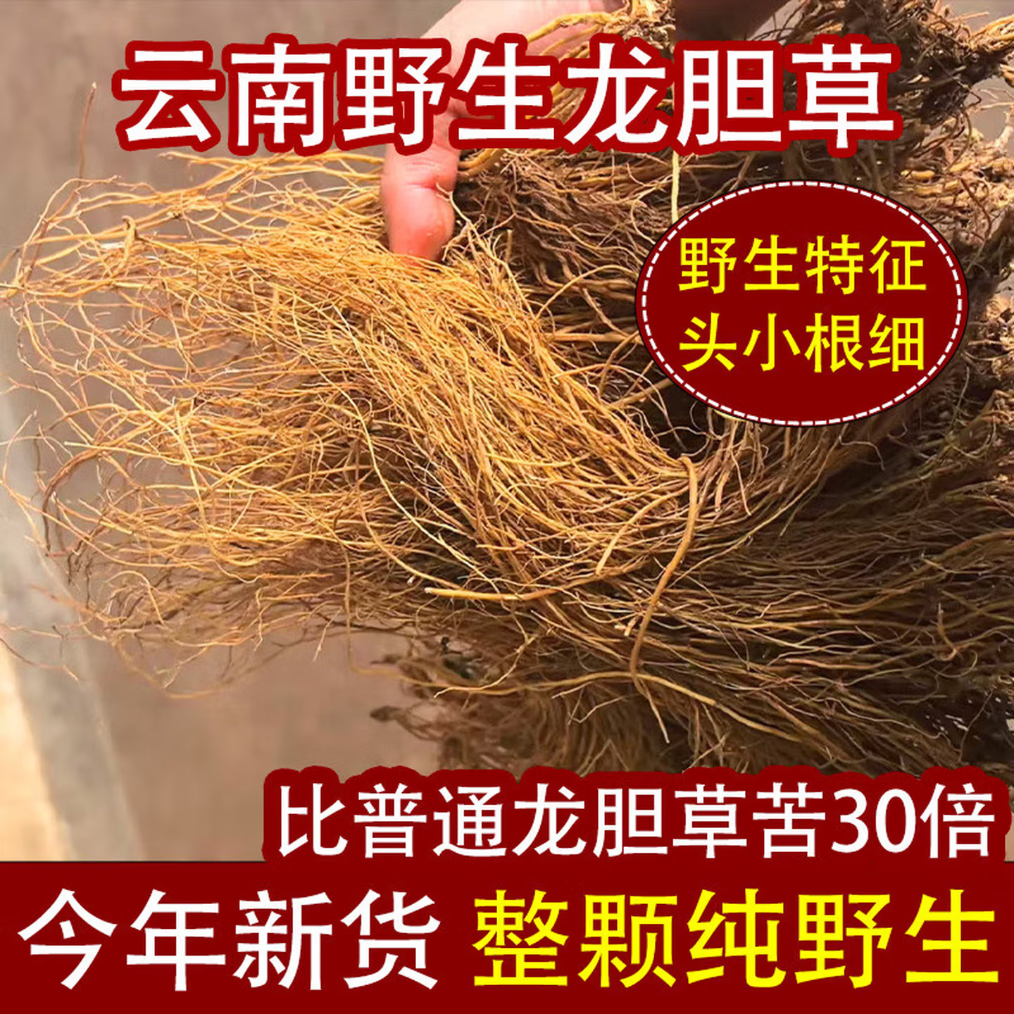 【真野生无硫熏】云南龙