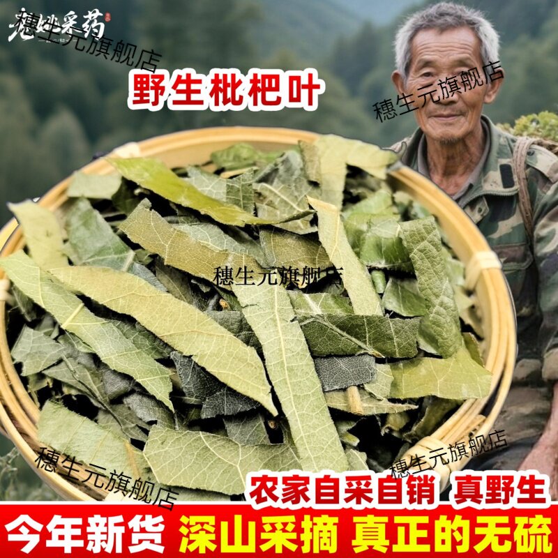 云南野生枇杷叶500g材无干