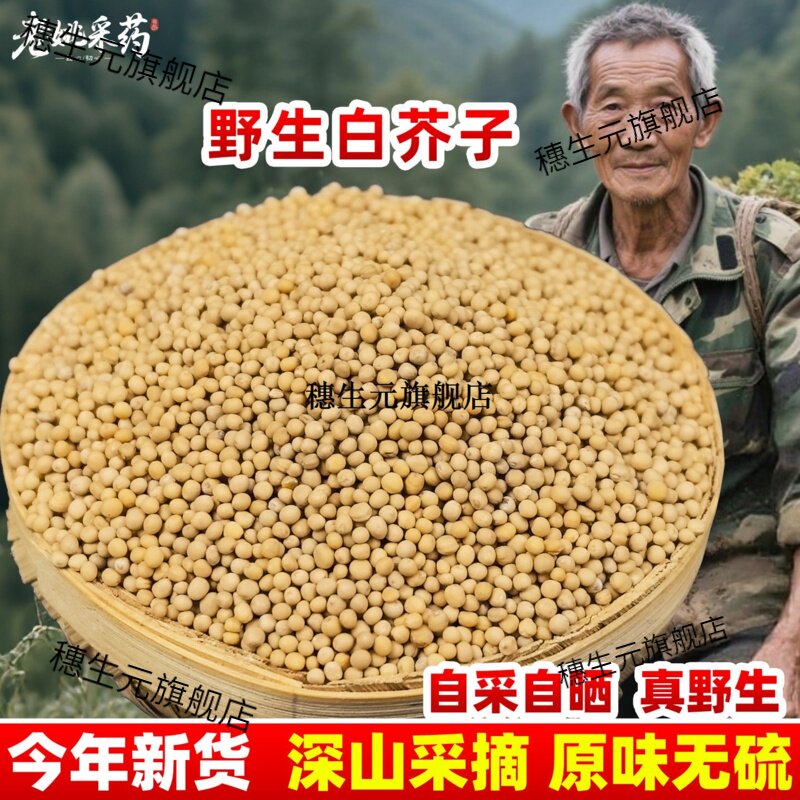 云南野生材白芥子介辣菜