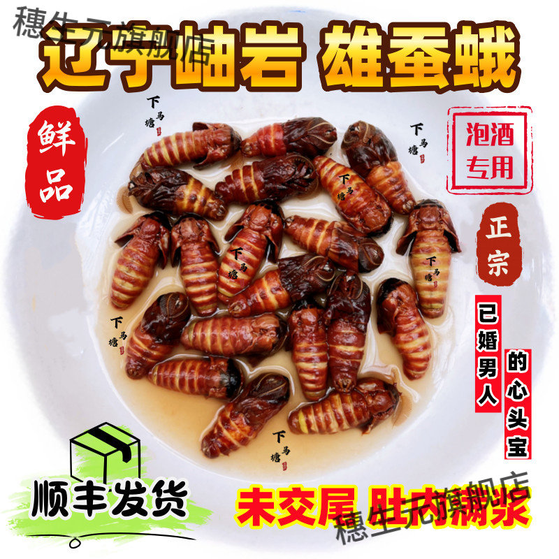 正宗辽宁岫岩雄蚕蛾原浆泡酒料