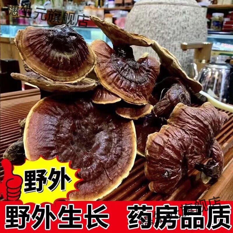 正宗野生西藏金边赤灵芝白