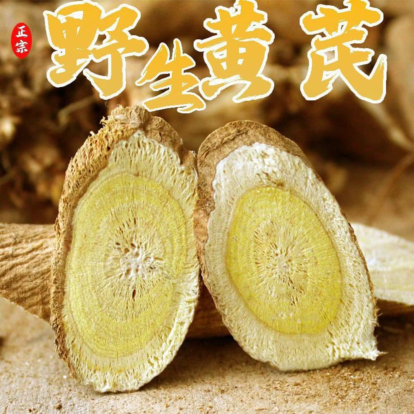黄芪山西浑源恒正北野生真