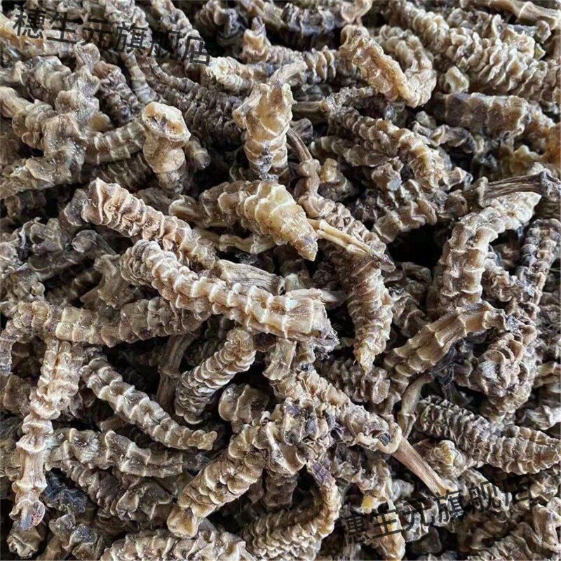 云南虫草参地干材新鲜货精