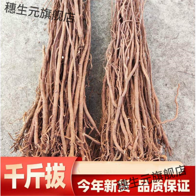 千斤拨金拔一条根吊马桩